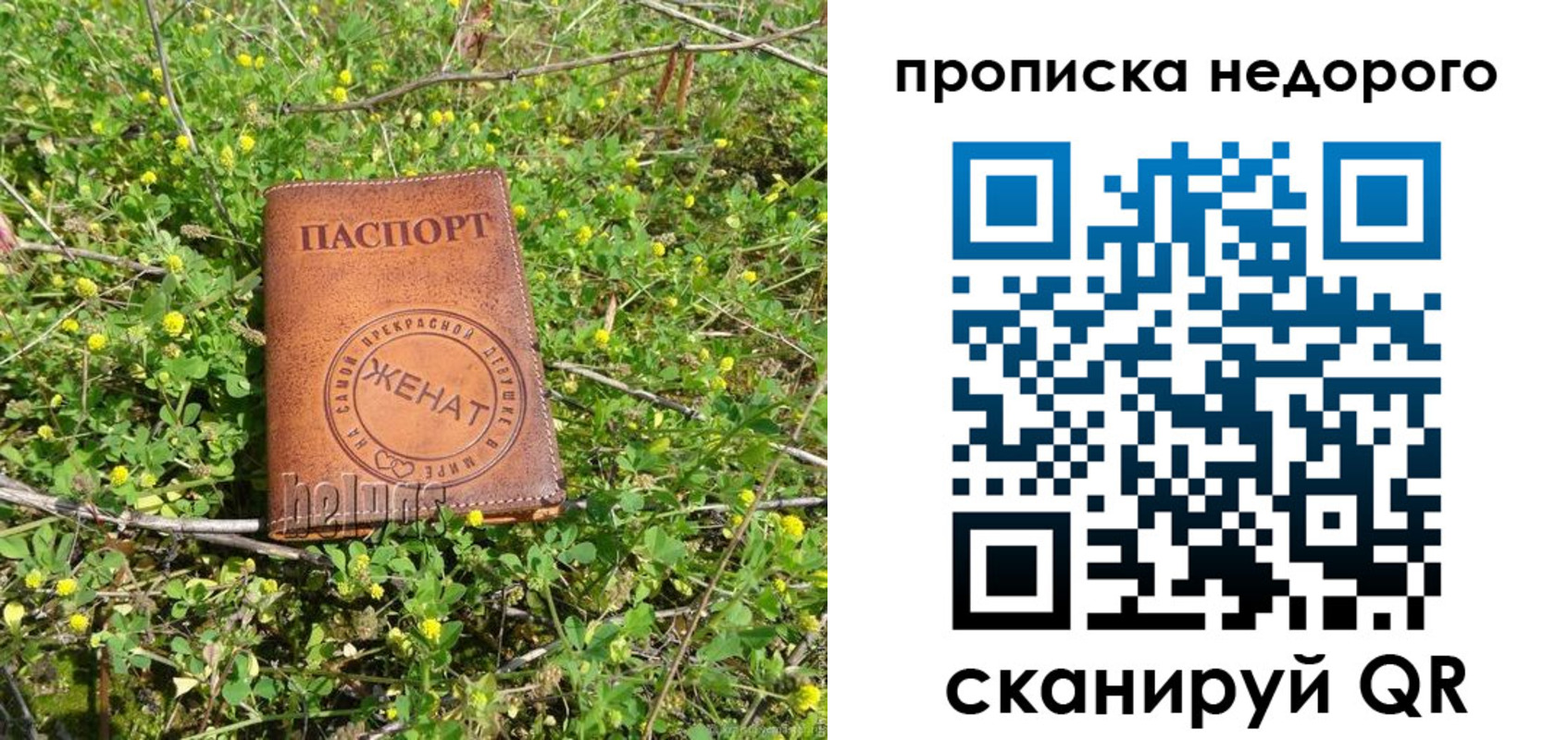 регистрация для дет. сада в Фокино